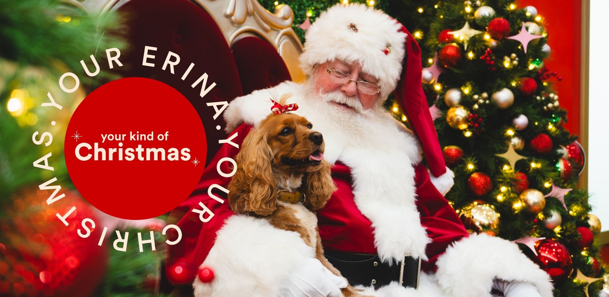 Erina Santa Photography Banners (1).jpg