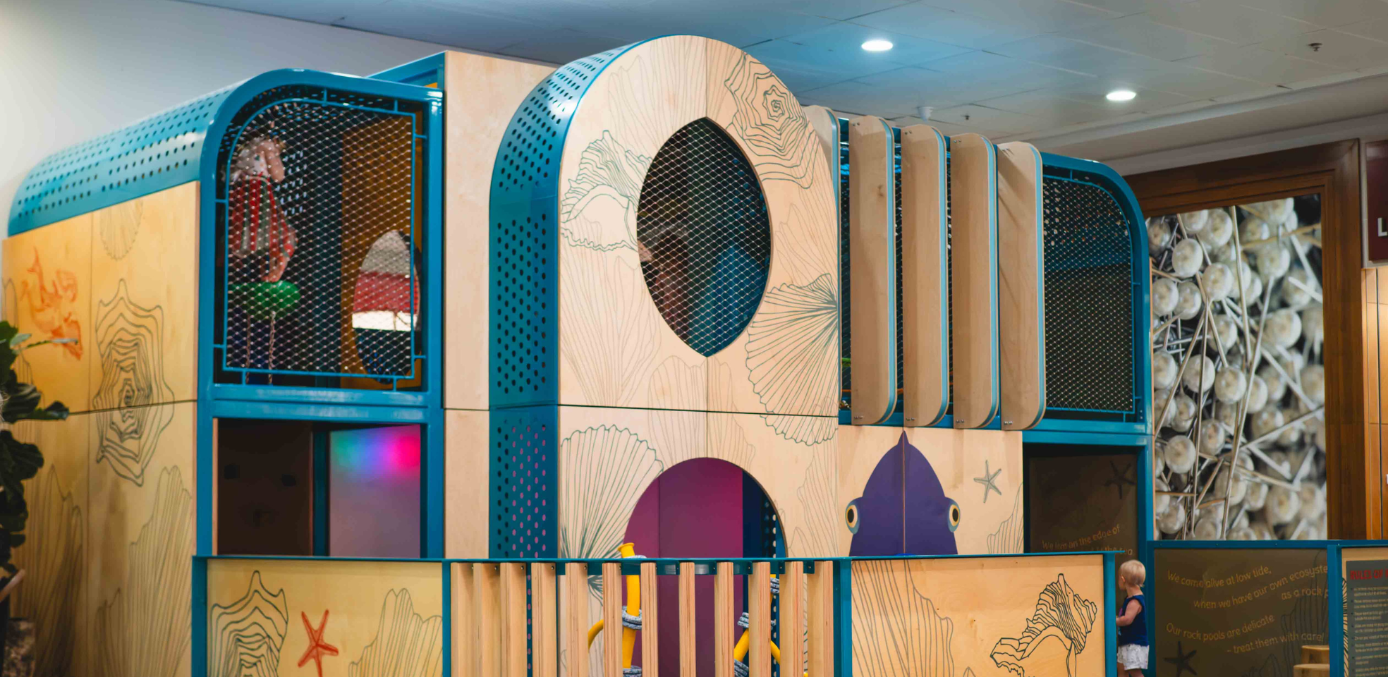 Erina Fair Playgrounds (2).png