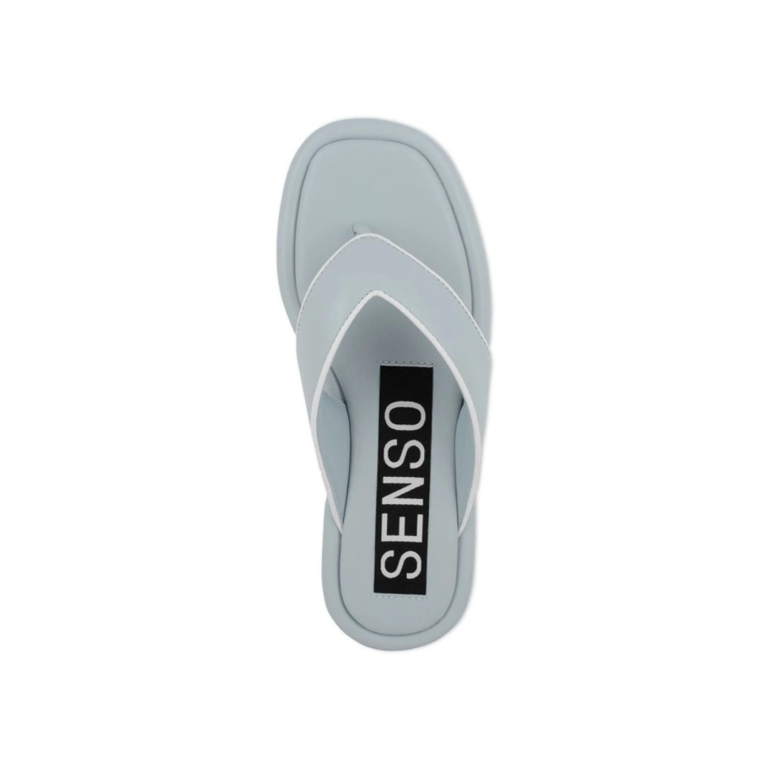 SC Sustainable (2).png