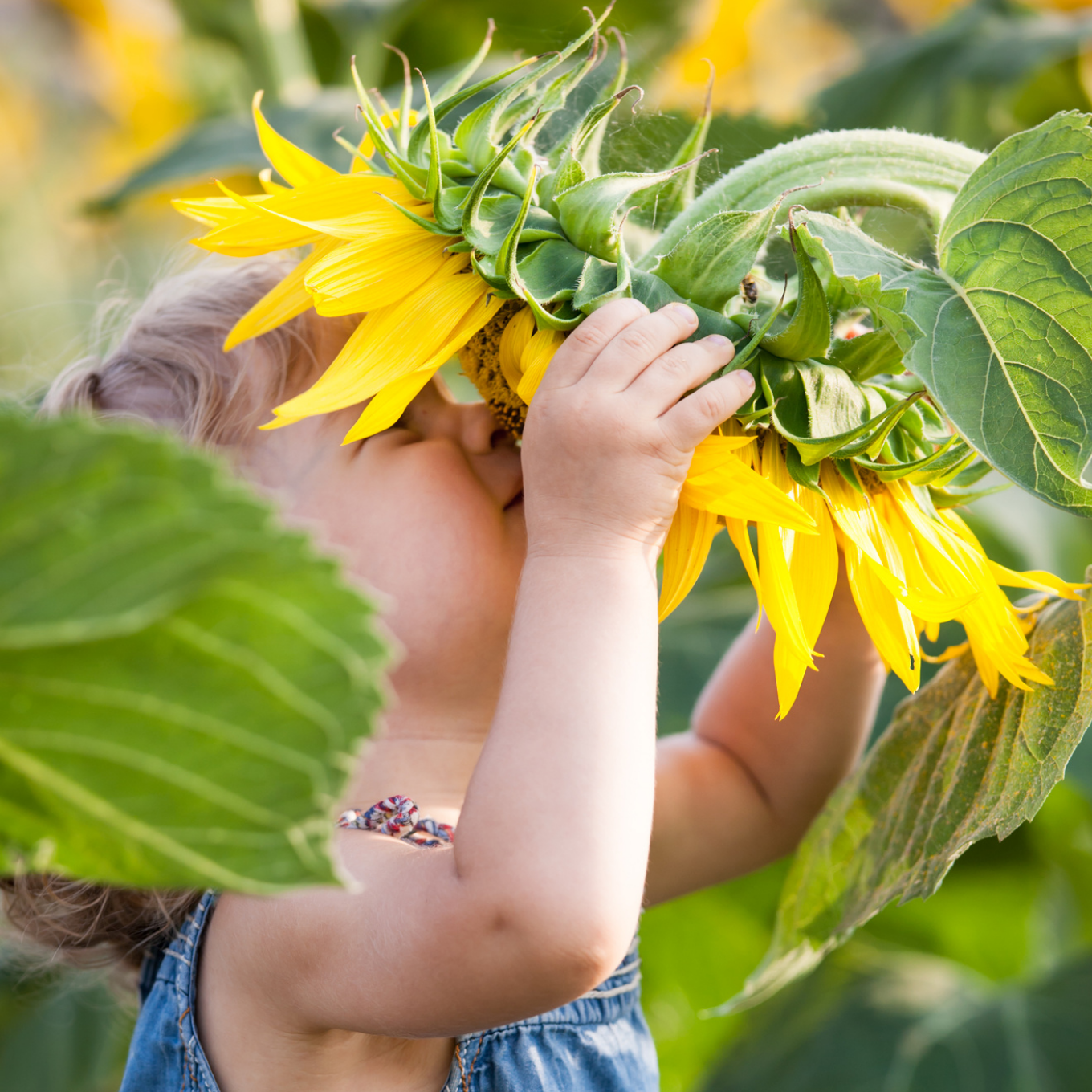 Spring School Holiday - EDM Square Header 1360x1360px.png