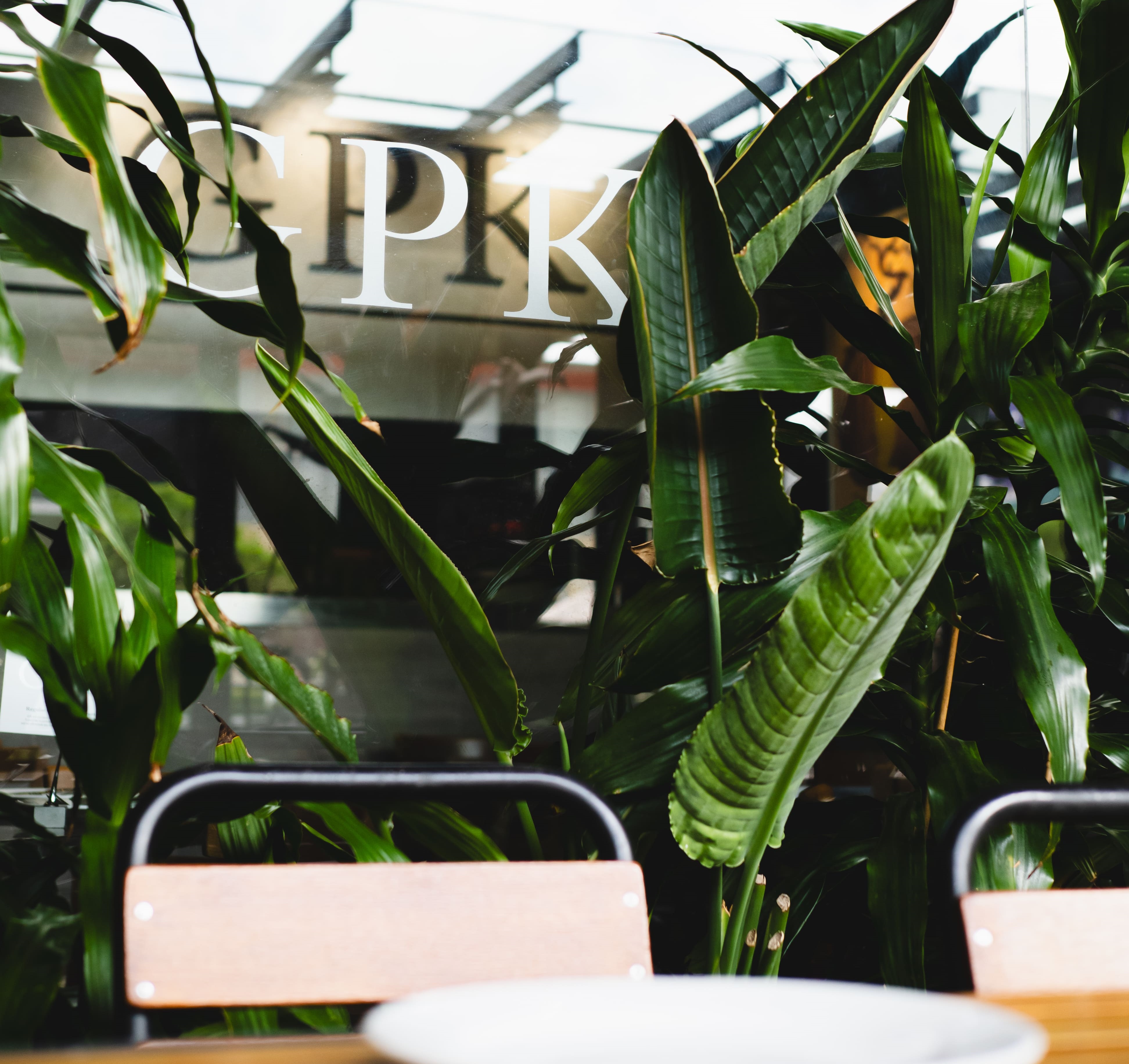 WEB_EF_GPK-0005.jpg